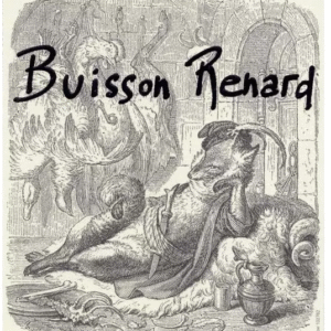 Buisson Renard
