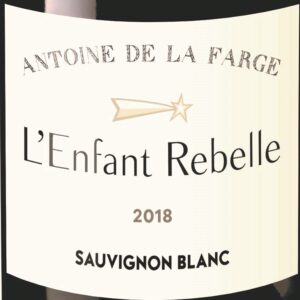 L'Enfant Rebelle (bl)